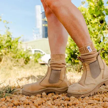 Steel Blue 510701 Ladies Hobart E/S Non Safety Boot