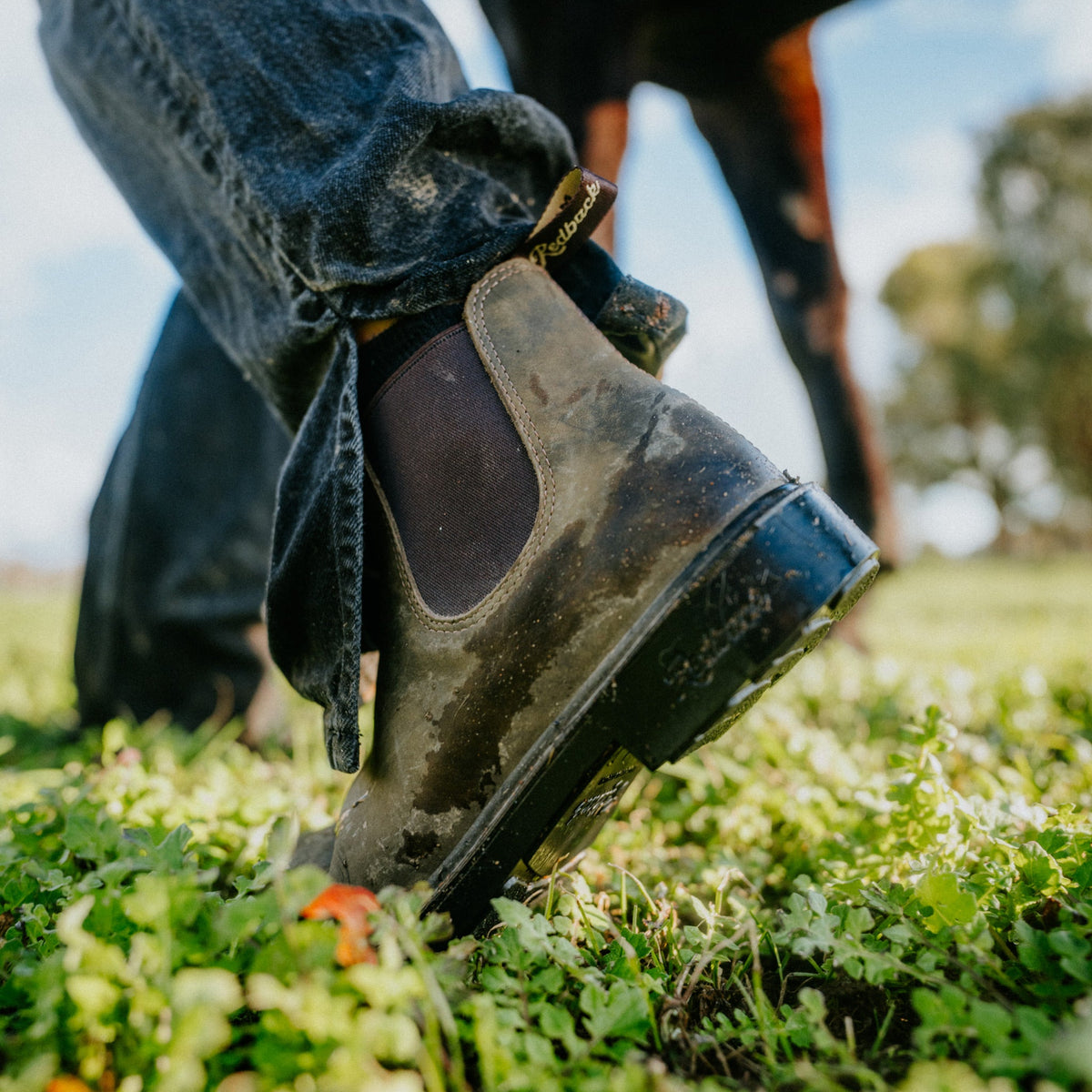 Redback Whistler RWIB Chelsea Boot Iron Bark